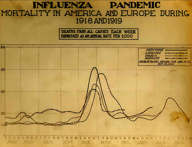 Mortalidad por semana en París, Berlín, Londres y Nueva York. El pico es atribuible a la gripe. Wikimedia Commons